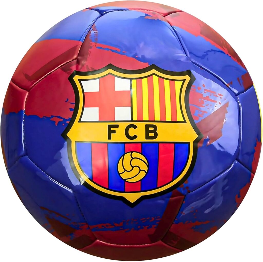 Pro Soccer Balls
